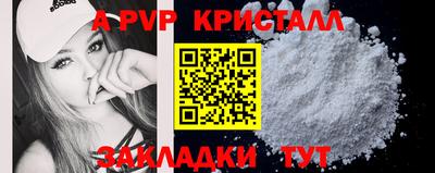 ECSTASY Гай