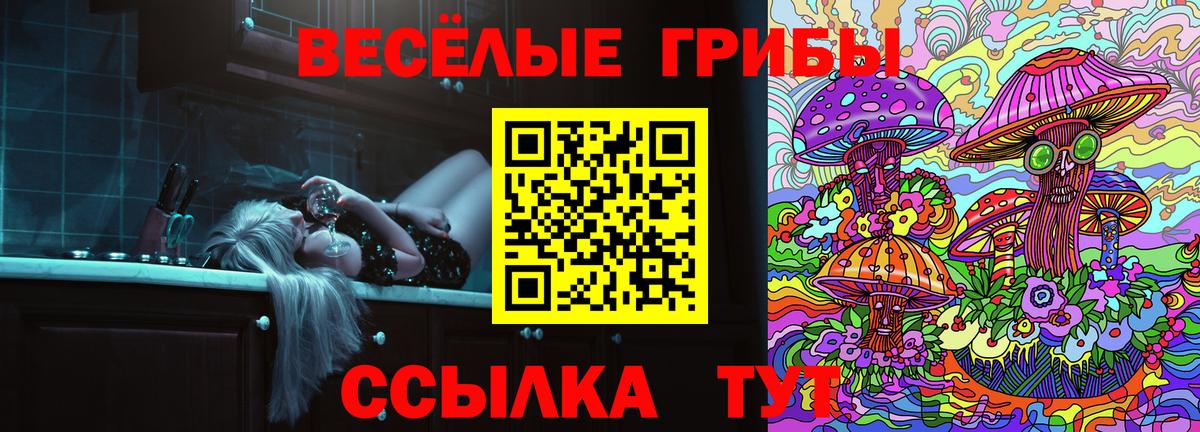 Псилоцибиновые грибы Psilocybine cubensis Курганинск