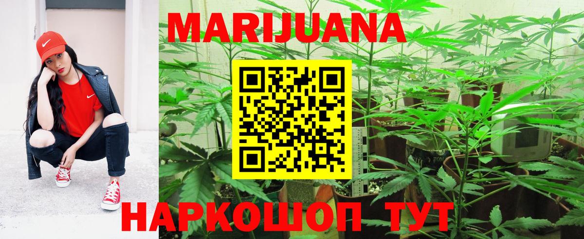 МАРИХУАНА SATIVA & INDICA Курганинск